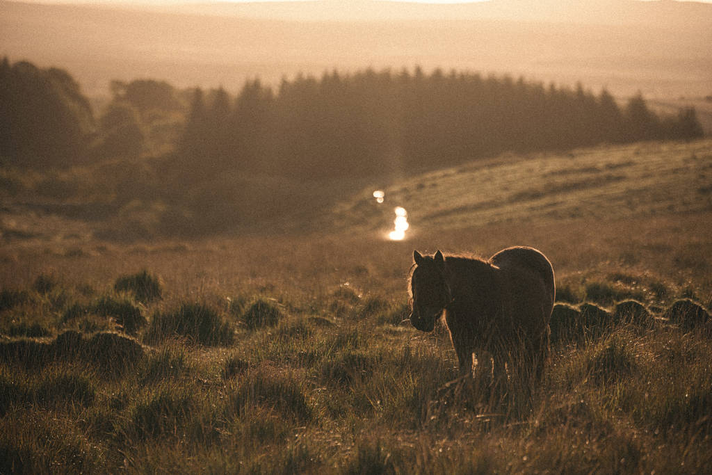 hay-barn-sun-rise-and-the-ponny-dartmoor-devon_1024_wide