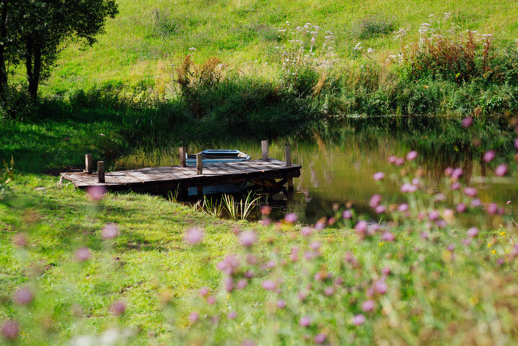 the-lake-the-wild-flowers-and-the-boat-at-southcombe-piggery-dartmoor-devon_1024_wide